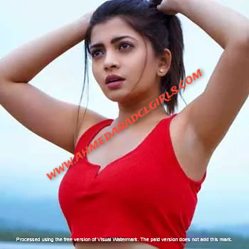 ahmedabad escorts in star hotels