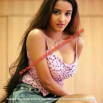 high class ahmedabad escorts